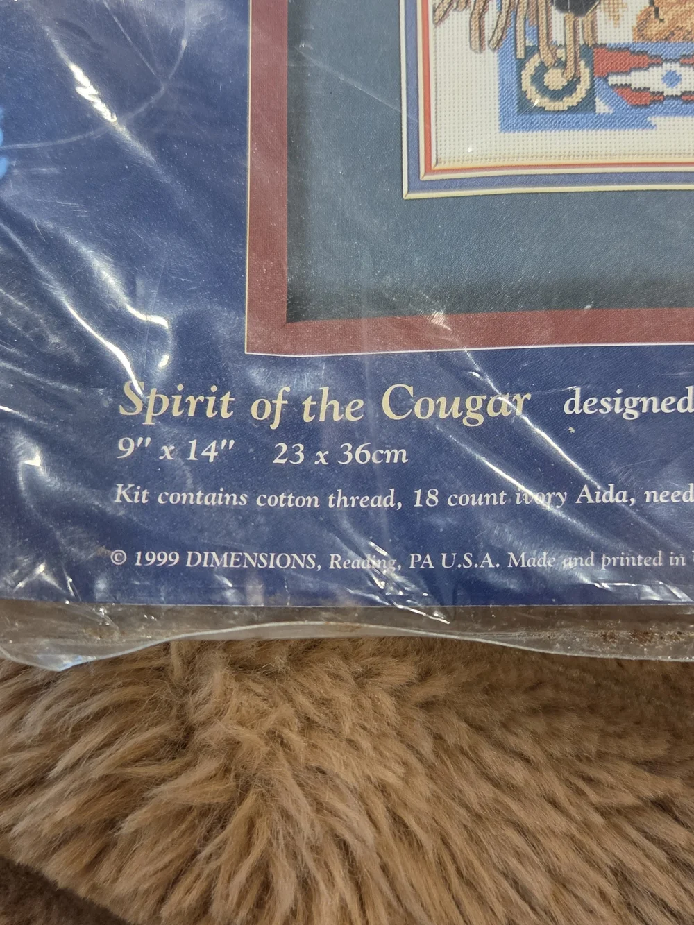 Creative Accents Counted Cross Stitch Kit 